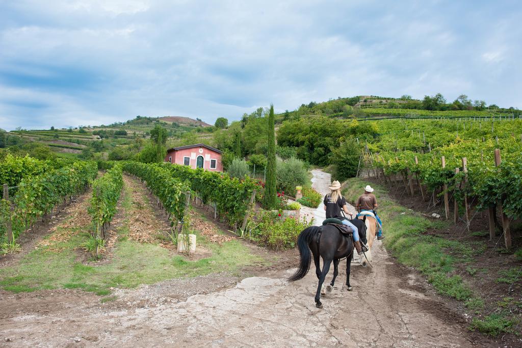 Casa Costa Relais B&B Monteforte dʼAlpone Esterno foto